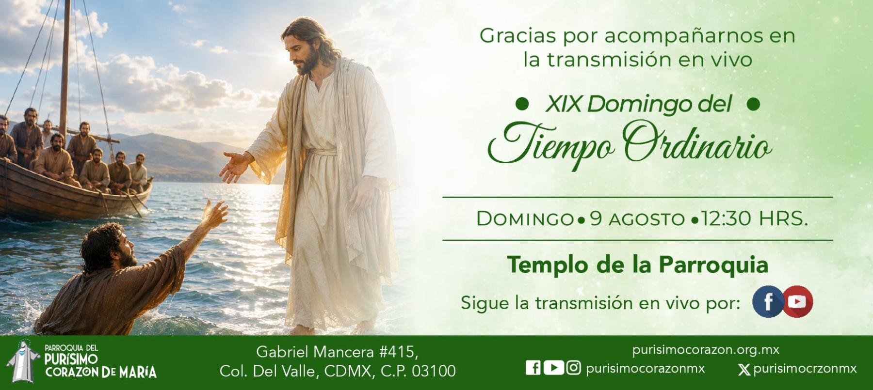 Santa Misa: XIX Domingo del Tiempo Ordinario