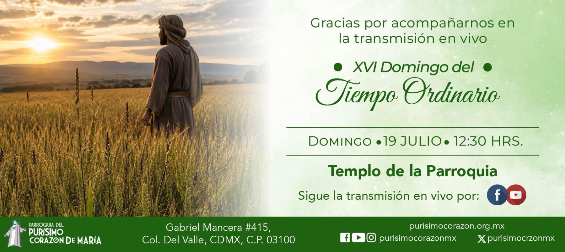 Santa Misa: XVI Domingo del Tiempo Ordinario Santa Misa: XVI Domingo del Tiempo Ordinario