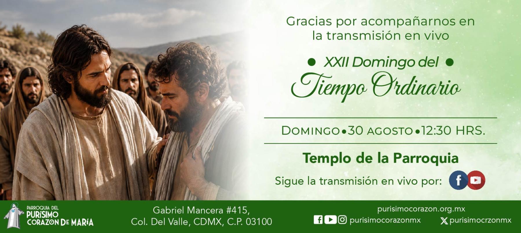 Santa Misa: XXII Domingo del Tiempo Ordinario Santa Misa: XXII Domingo del Tiempo Ordinario