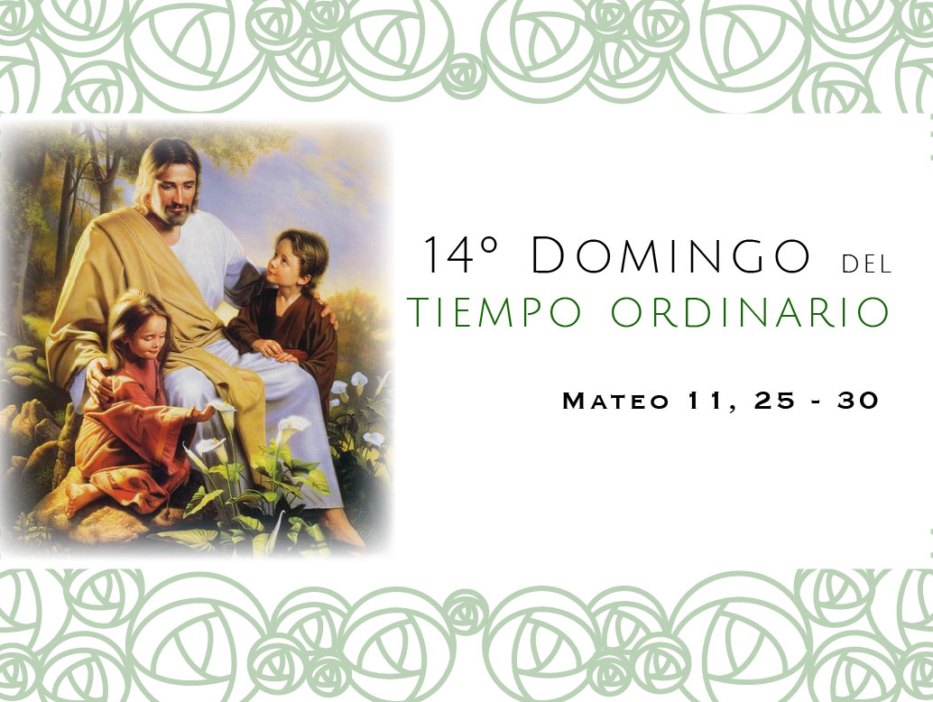 Domingo 14&ordm; del Tiempo Ordinario