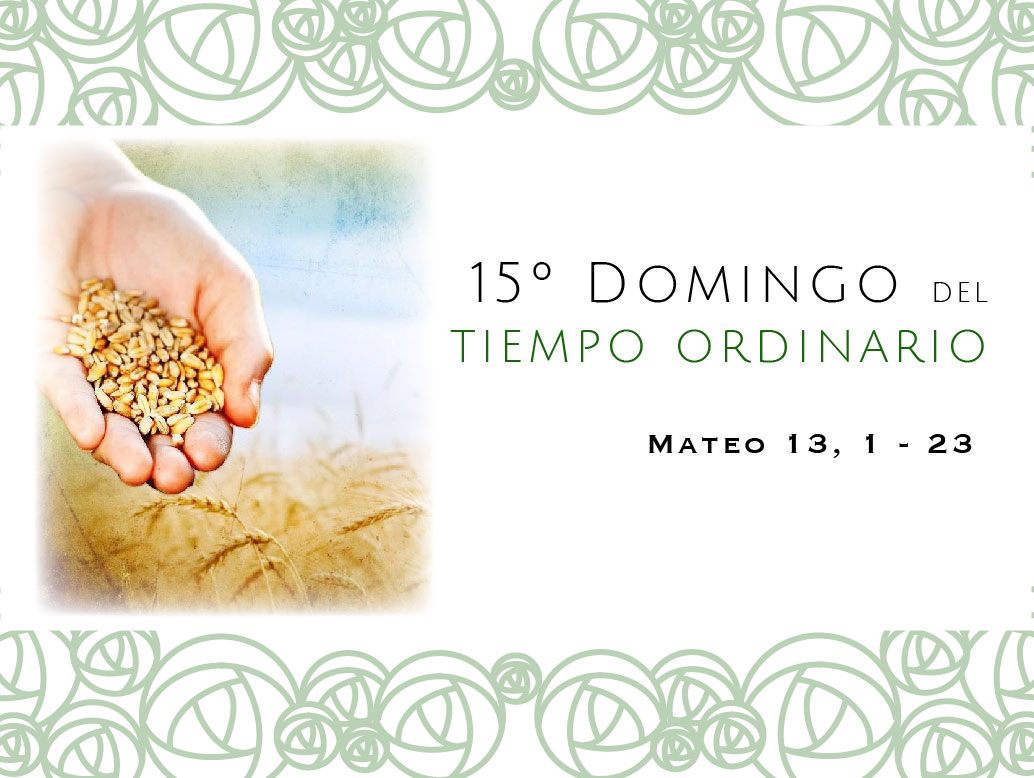 Domingo 15 del Tiempo Ordinario