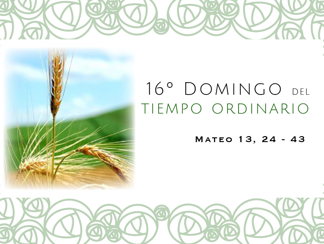 Domingo 16 del Tiempo Ordinario